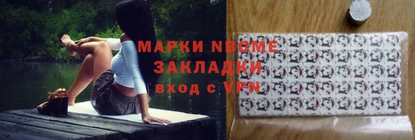 прущие грибы Богородицк