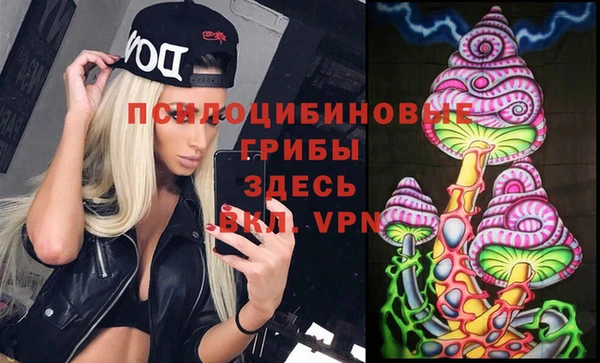 прущие грибы Богородицк