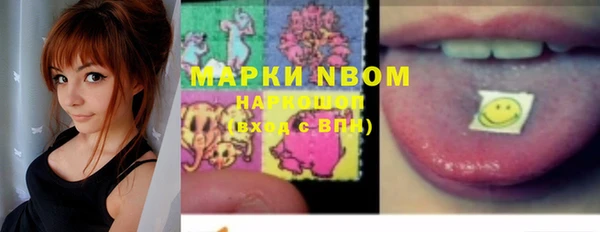 прущие грибы Богородицк