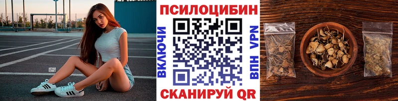 наркота  Светлогорск  Псилоцибиновые грибы ЛСД 